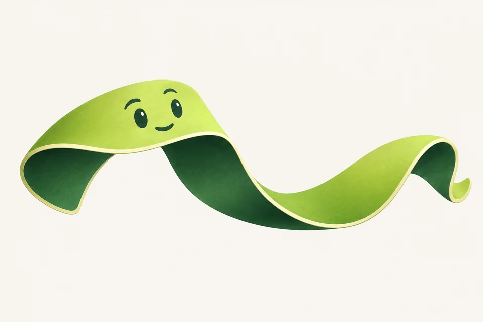 Twill stretches into a wide, welcoming ribbon